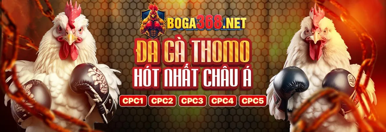 Sân vận động sôi động với các môn thể thao và logo xxvip link vào